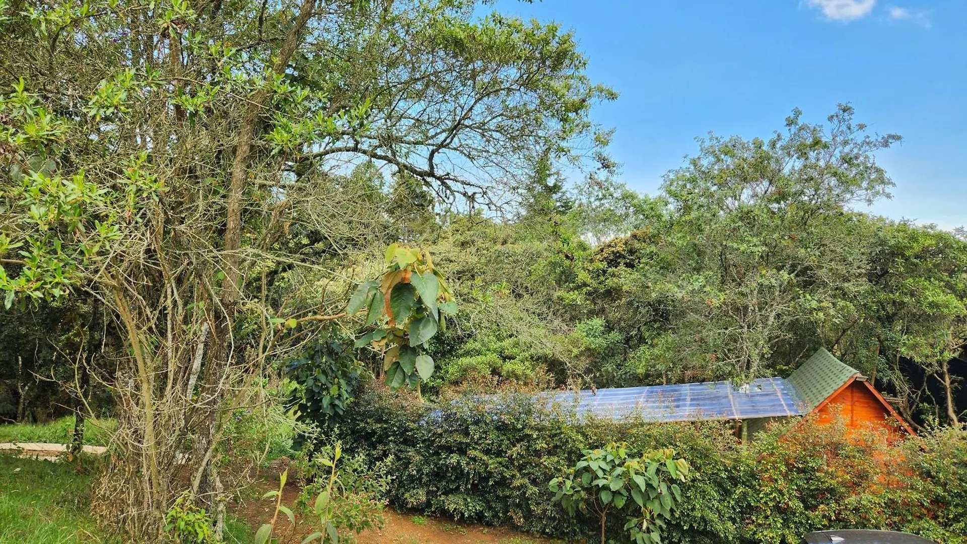 Camping Cabana En La Naturaleza Con Jacuzzi - Santa Elena Medellín